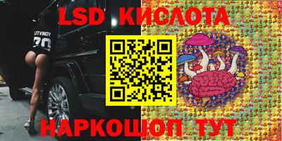 тгк Владимир