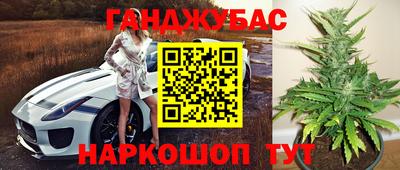 мяу мяу мука Владивосток